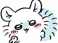 test4